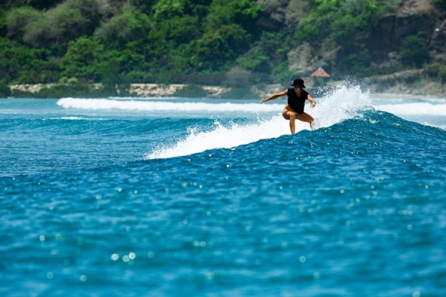 Surfing Adventure