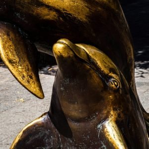 a close-up of a banana